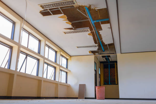 Best Sewage cleanup and water damage restoration  in Montvale, NJ