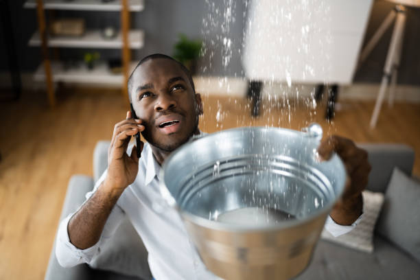 Best Sewage cleanup and water damage restoration  in Montvale, NJ