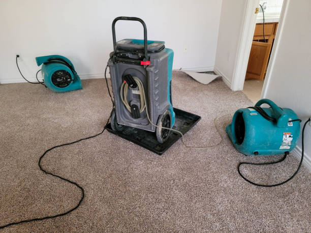 Best Water damage repair service  in Montvale, NJ