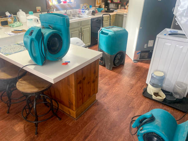 Best Local water damage restoration  in Montvale, NJ