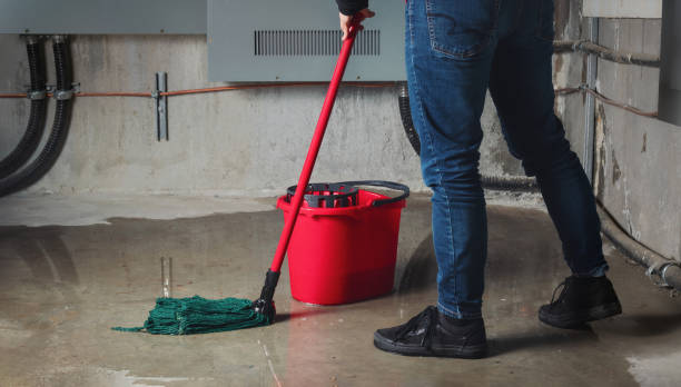 Best Ceiling water damage repair  in Montvale, NJ