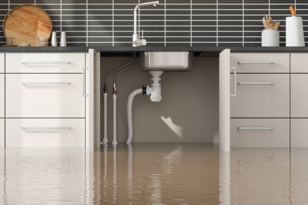 Best Basement water damage restoration  in Montvale, NJ