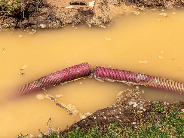  Montvale, NJ Water damage restoration Pros